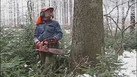 What terrible may happen when cutting chainsaw Husqvarna 357 XP