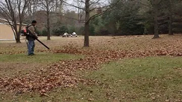 Oldgeezer  using a Husqvarna 350 BT leaf blower.