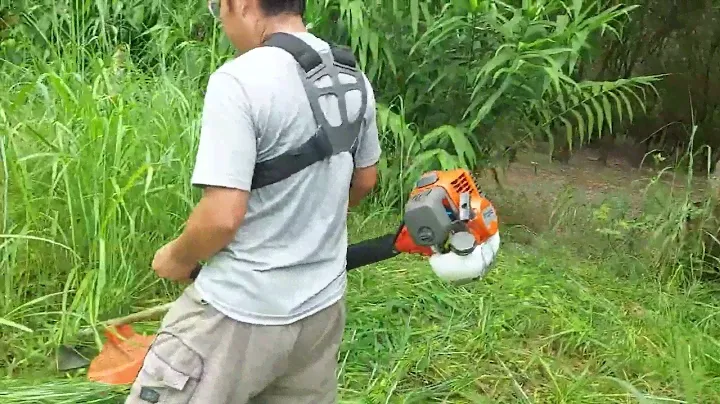 Husqvarna 541rs ทดสอบความแรง!!!