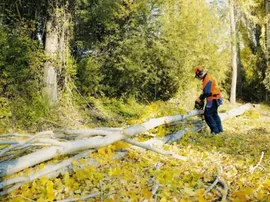 Бензопила HUSQVARNA 435 II 15" X-Torq New