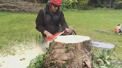 Stump grinding with the Husqvarna SG13