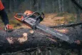 Бензопила Husqvarna 592XP-0
