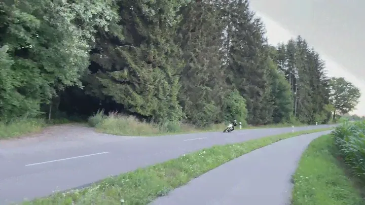 Husqvarna 701 Remus Euro4 mit Kat ohne Db (Hitzeschutzband)