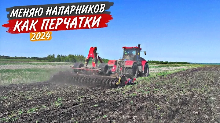 Отделяюсь от наёмного CLAAS Axion и еду культивировать дисковку К-743М.