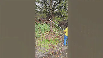 Husqvarna  525PT5S pruning day #lawncare