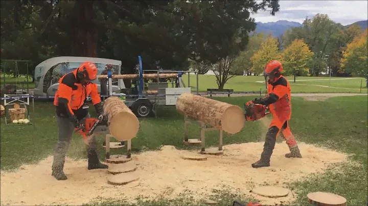 Husqvarna 572 xp  vs. 576 xp